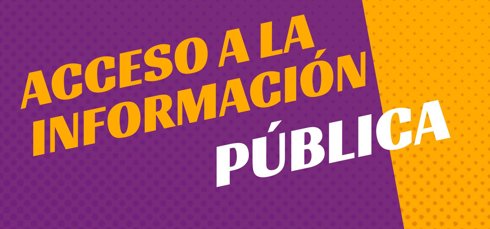 Acceso a la información pública