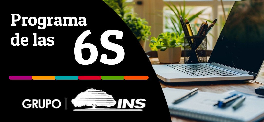 Programa de las 6s