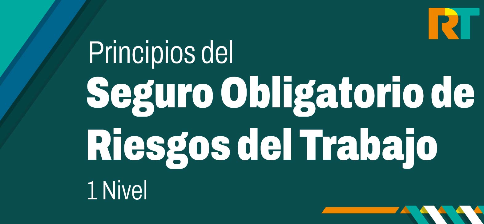 Principios del Seguro Riesgos del Trabajo  