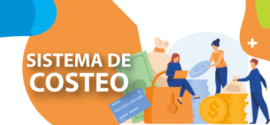 Sistema de Costeo del INS
